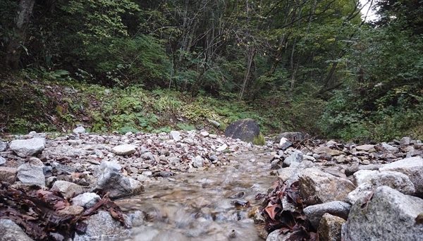 銀河もみじキャンプ場