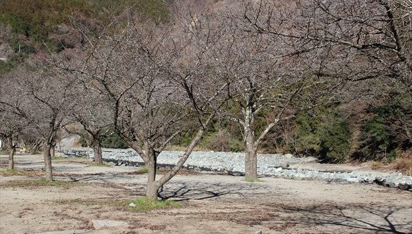 青野原オートキャンプ場
