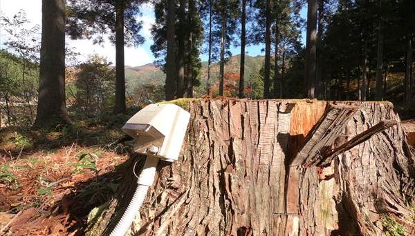 馬瀬キャンプ場 馬瀬キャンプ場