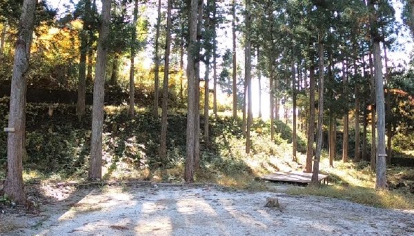 馬瀬キャンプ場 馬瀬キャンプ場