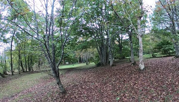 馬返しキャンプ場