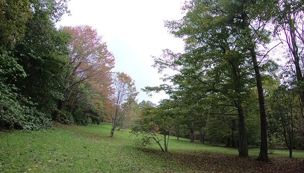 馬返しキャンプ場