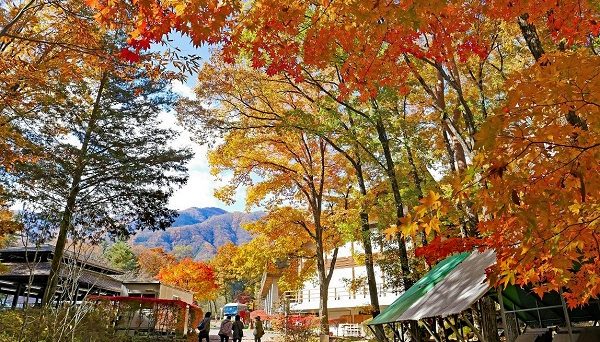 駒ヶ根キャンプセンター