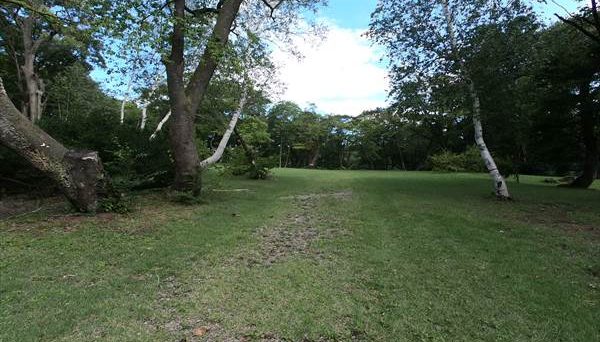 高床山森林公園キャンプ場