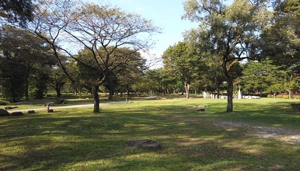 鳥野目河川公園オートキャンプ場 鳥野目河川公園オートキャンプ場