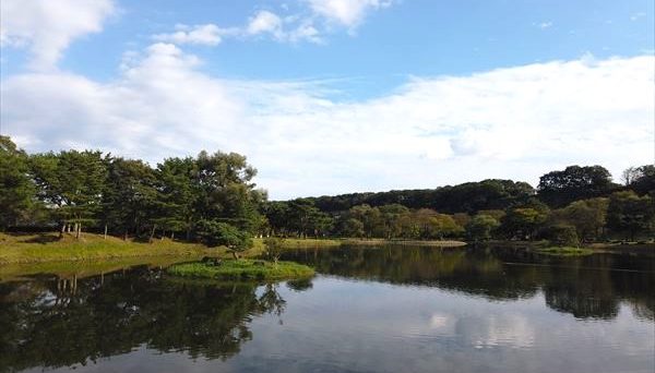 鳥野目河川公園オートキャンプ場 鳥野目河川公園オートキャンプ場