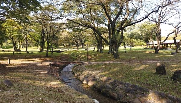 鳥野目河川公園オートキャンプ場 鳥野目河川公園オートキャンプ場