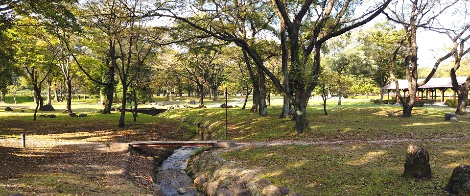 鳥野目河川公園オートキャンプ場