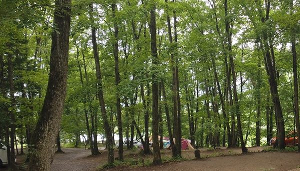 黒坂オートキャンプ場