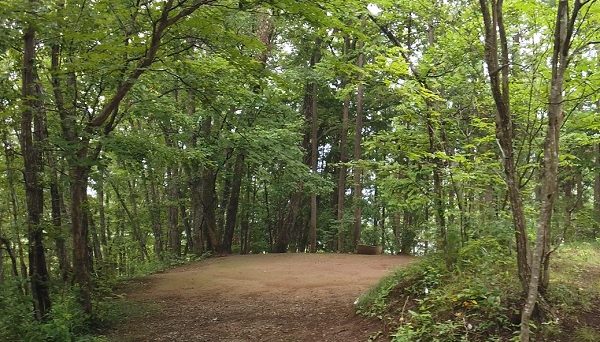 黒坂オートキャンプ場