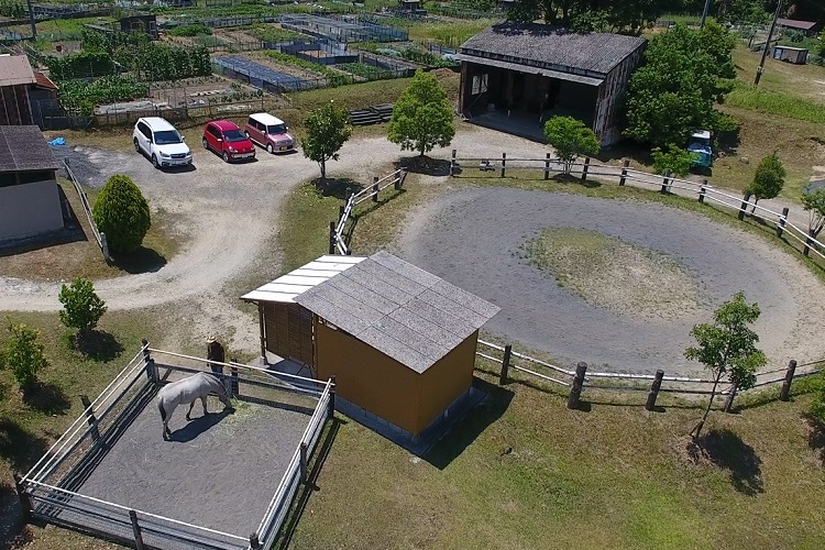 ＯＫオートキャンプ場乗馬