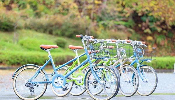 美山町自然文化村キャンプ場