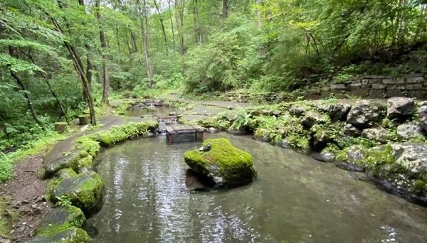 Foresters Village Kobittoあさぎりキャンプフィールド