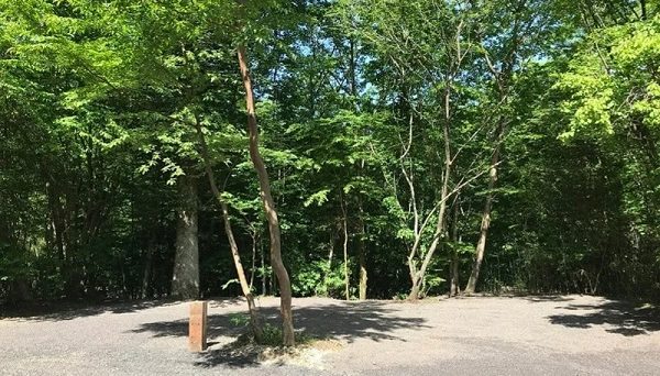 Foresters Village Kobittoあさぎりキャンプフィールド