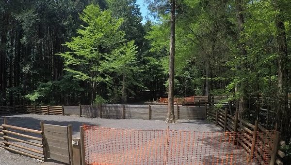 Foresters Village Kobittoあさぎりキャンプフィールド