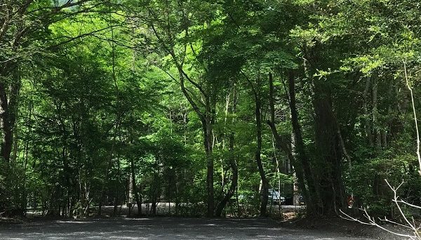 Foresters Village Kobittoあさぎりキャンプフィールド