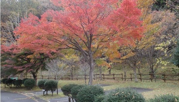 いわき市遠野オートキャンプ場