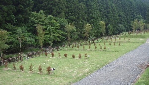 いわき市遠野オートキャンプ場