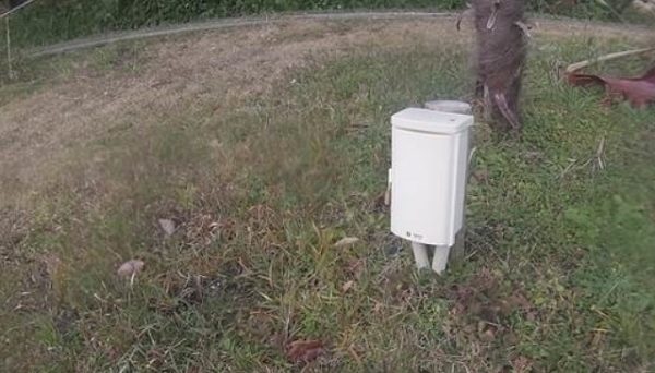 うしおのもりキャンプ場 うしおのもりキャンプ場