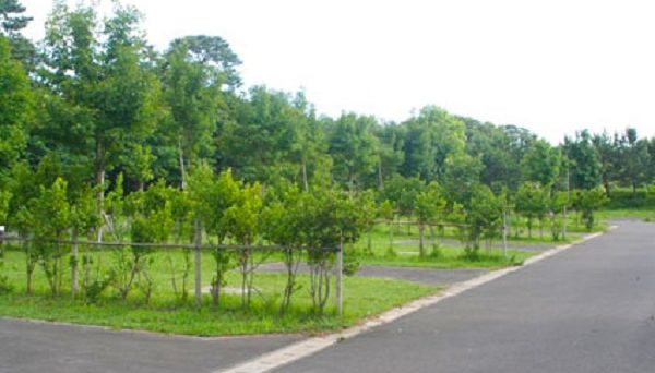 おだいばオートビレッジ