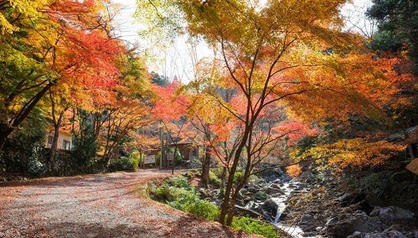 くらがり渓谷キャンプセンター