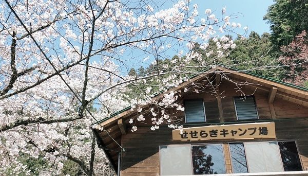 せせらぎキャンプ場