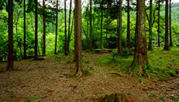 せせらぎキャンプ場