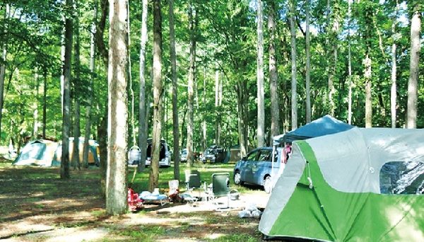 まほーばの森キャンプ場