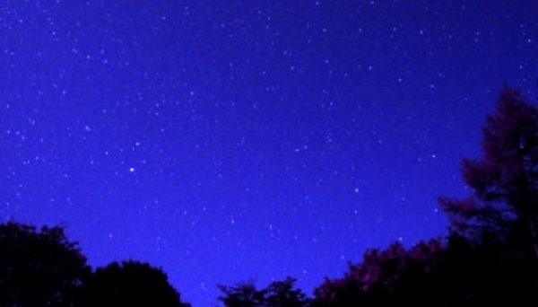 まほーばの森キャンプ場