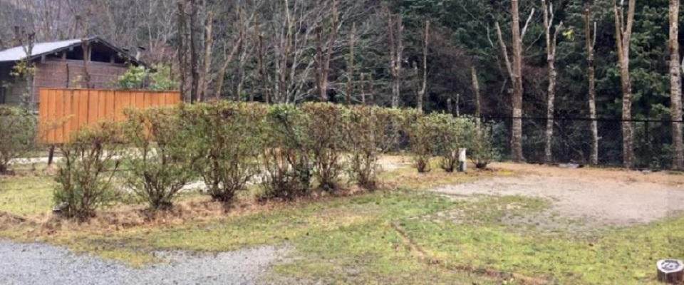 みよしのオートキャンプ場