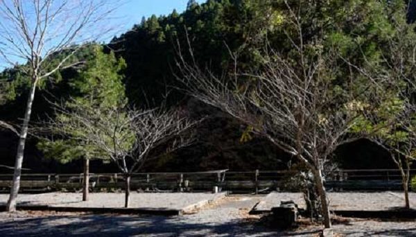 オートキャンプとちお