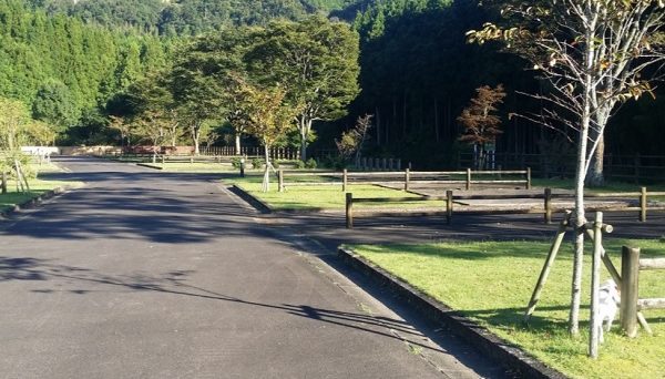 千枚田オートキャンプ場