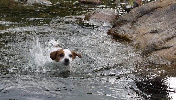 千枚田オートキャンプ場