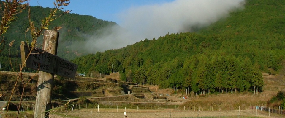 千枚田オートキャンプ場