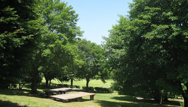 スカイランドおおぼらキャンプ場