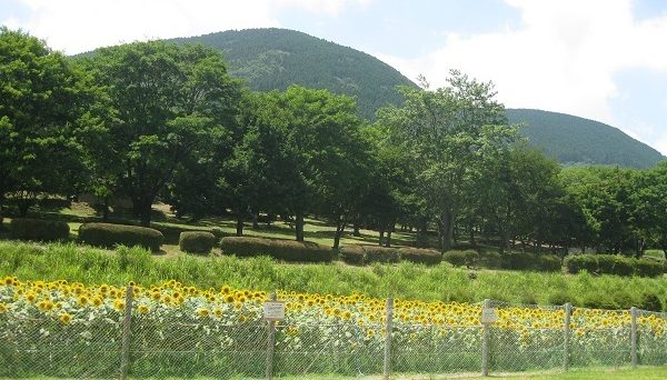 スカイランドおおぼらキャンプ場