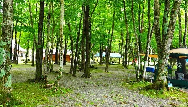 ナラ入沢渓流釣りキャンプ場