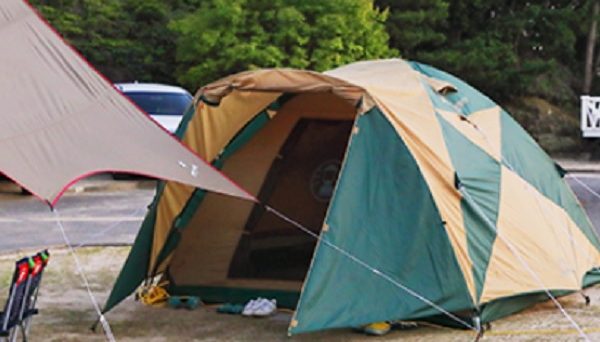 グランパス inn 白浜 グランパス inn 白浜