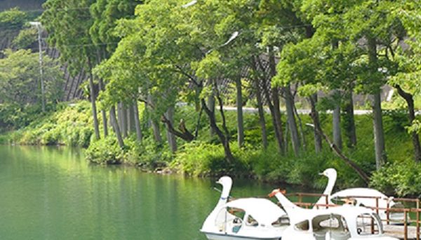 フォレストパーク373 フォレストパーク373