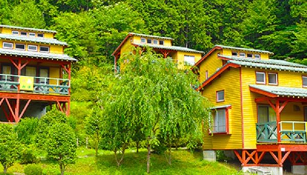 フォレストパーク373 1 フォレストパーク373