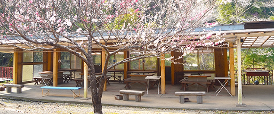 フォレストパーク373