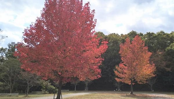 モビレージ東条湖