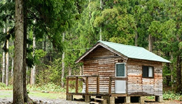 ロックフィールドいとしろ