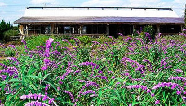 九十九里ハーブガーデンキャンプ場