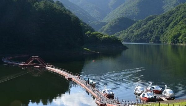 二子島森林公園キャンプ場