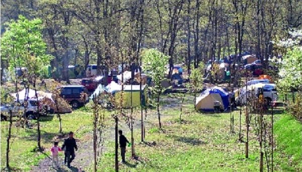 五十沢キャンプ場