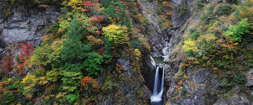 五十沢キャンプ場