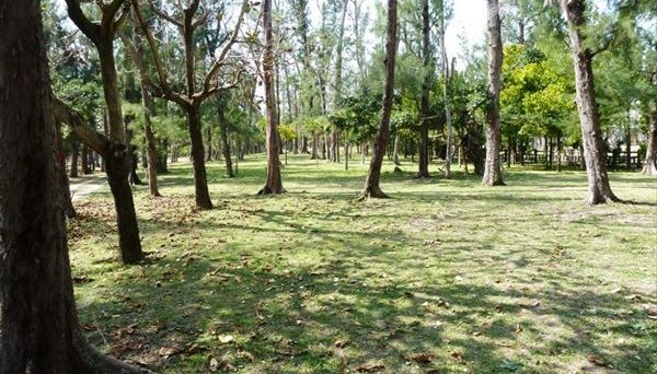 伊江村青少年旅行村