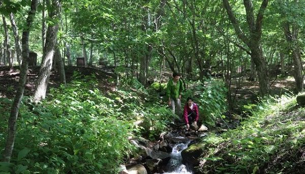 休暇村嬬恋鹿沢