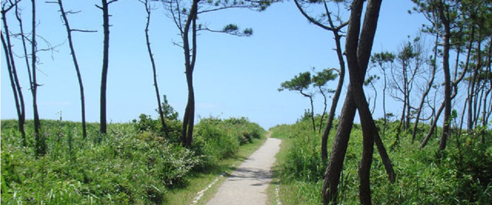 休暇村能登千里浜シーサイドキャンプ場